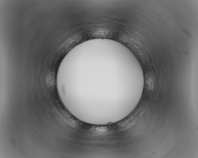 X0000111880665200908131635