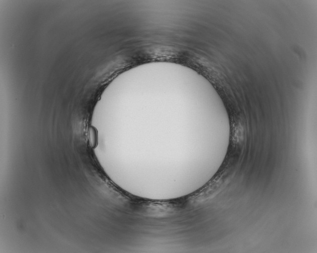 X0000111880666200908131635