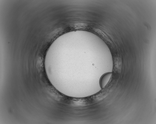 X0000111880667200908131635