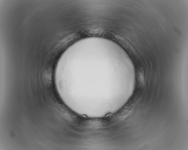 X0000111880668200908131635