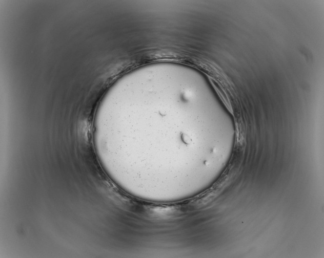 X0000111880669200908131635