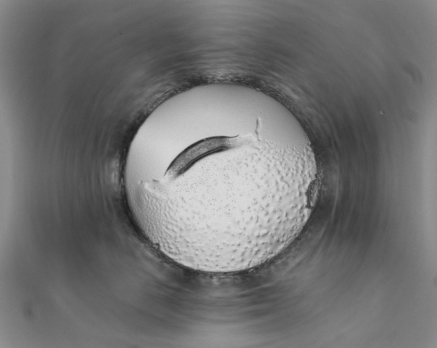 X0000111880670200908131635