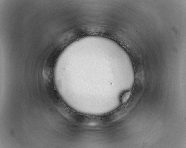 X0000111880671200908131635