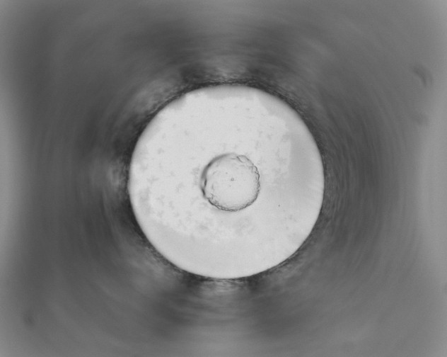 X0000111880672200908131635