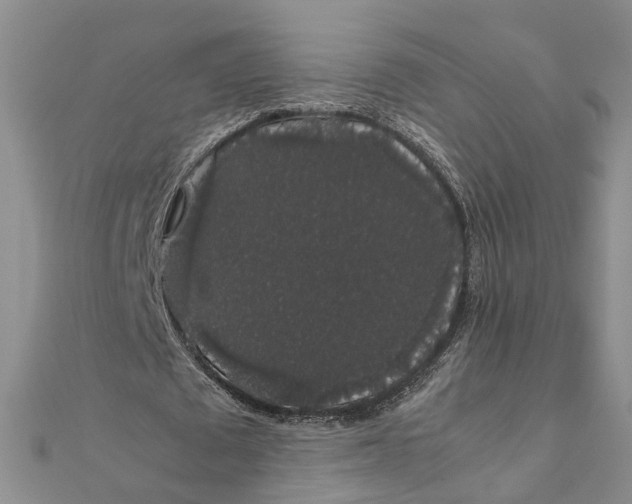 X0000111880673200908131634