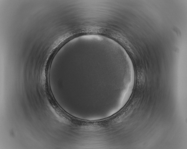 X0000111880674200908131634