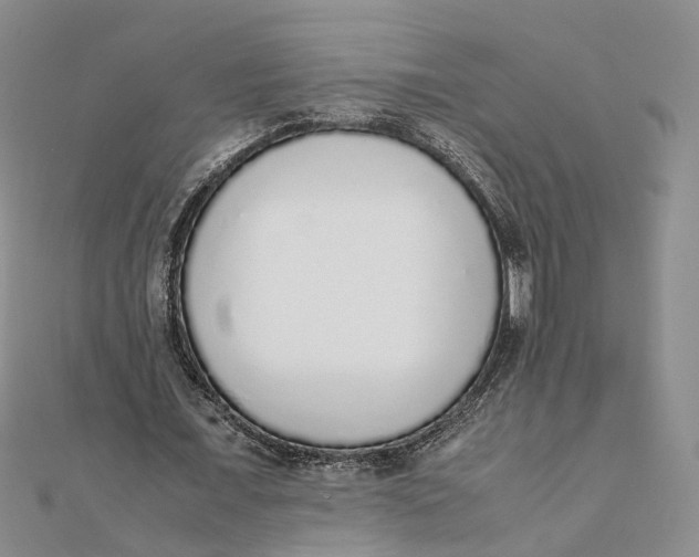 X0000111880675200908131634