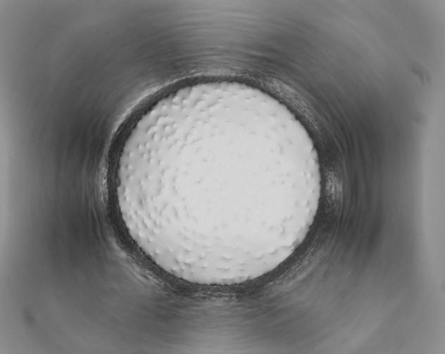 X0000111880676200908131634