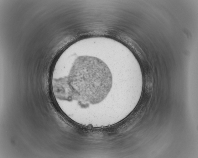 X0000111880677200908131634