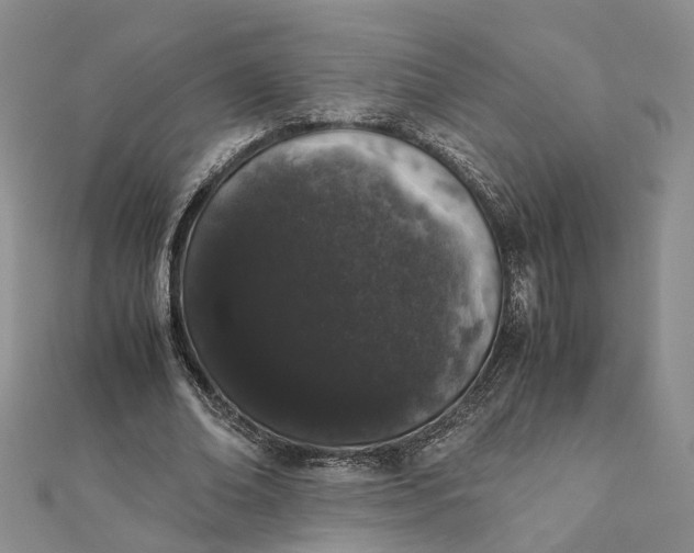 X0000111880678200908131634