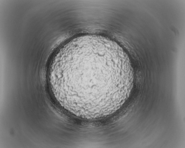 X0000111880679200908131634