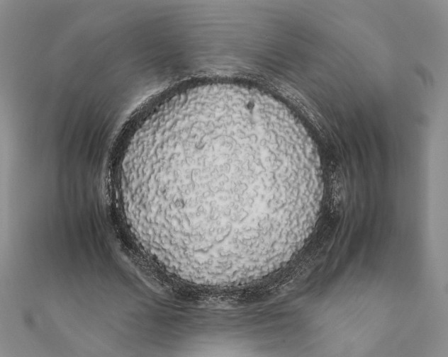 X0000111880680200908131634