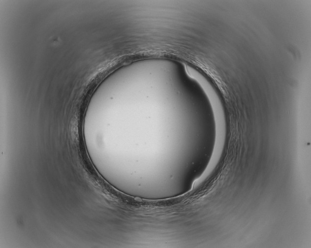 X0000111880681200908131634