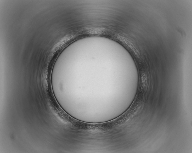 X0000111880682200908131634