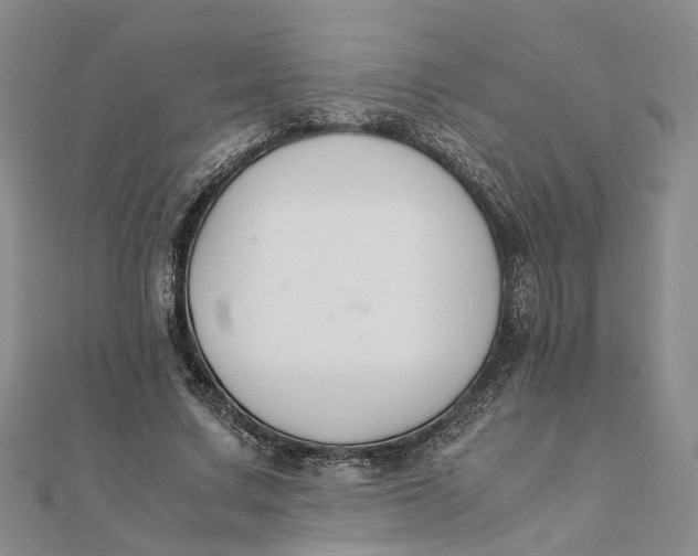 X0000111880683200908131634