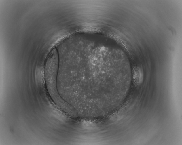 X0000111880684200908131634