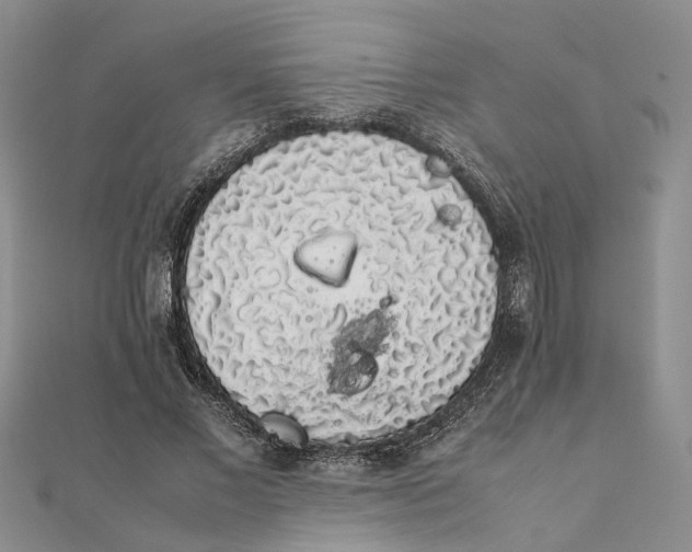 X0000111880685200908131634