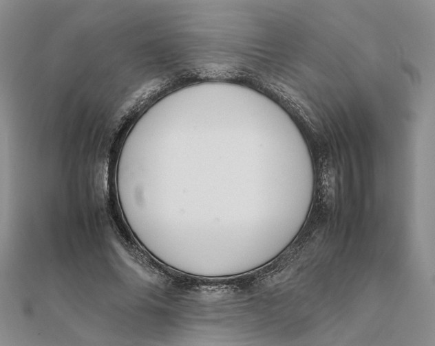 X0000111880686200908131634