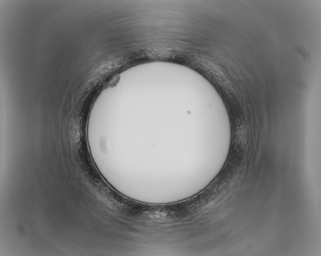 X0000111880687200908131634