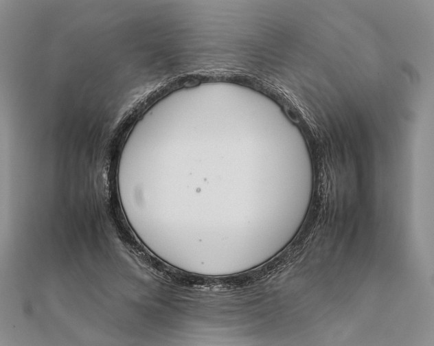 X0000111880688200908131634