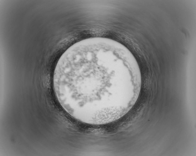 X0000111880689200908131634