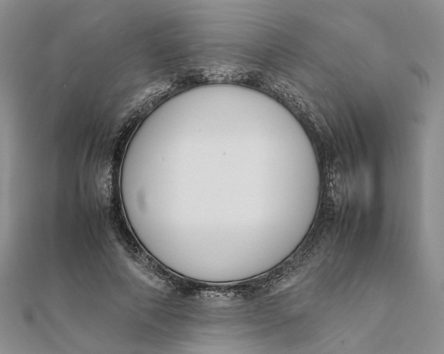 X0000111880690200908131634