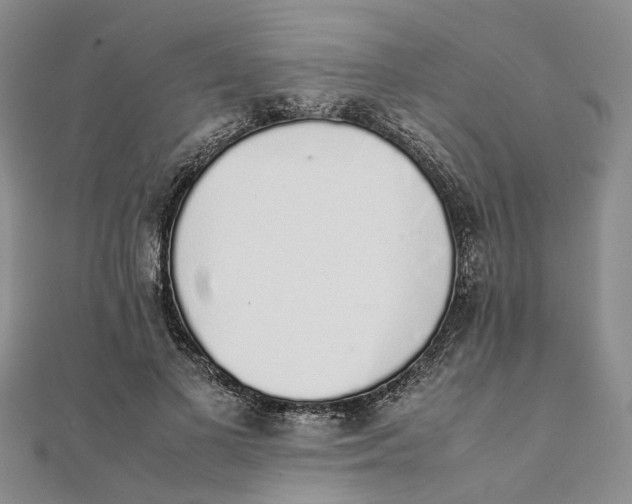 X0000111880693200908131634