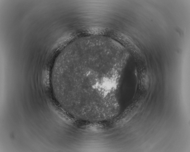 X0000111880696200908131634