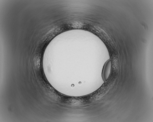 X0000111880697200908131634