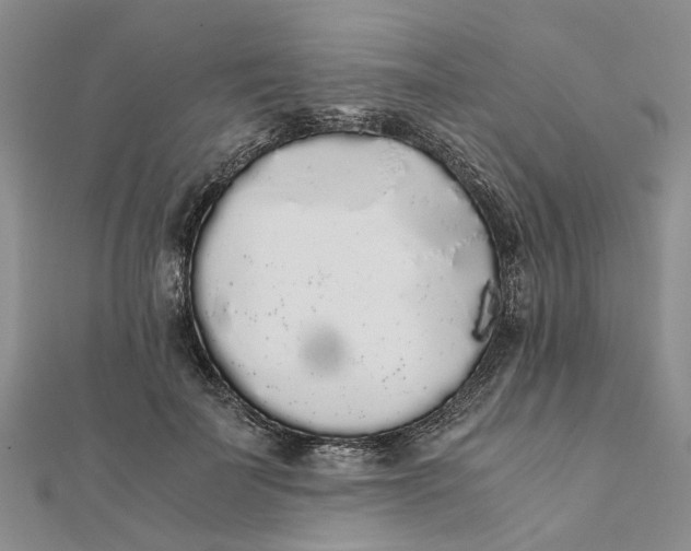 X0000111880699200908131634