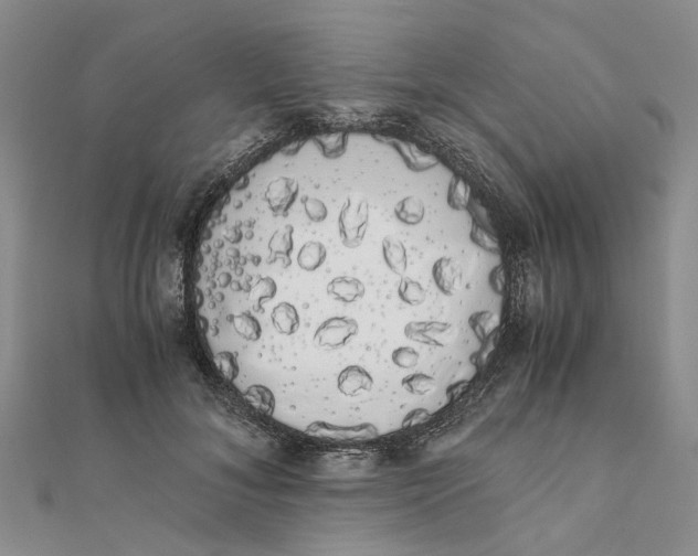 X0000111880700200908131634