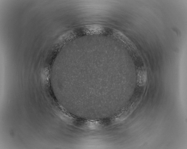 X0000111880701200908131634