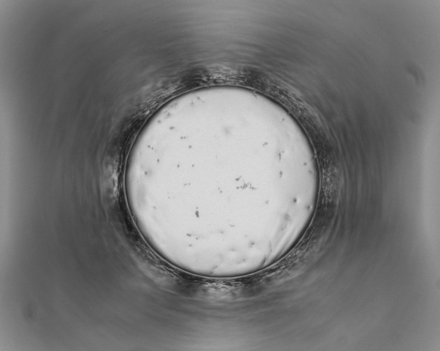 X0000111880703200908131634