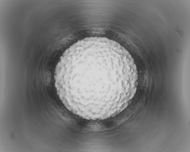 X0000111880704200908131634