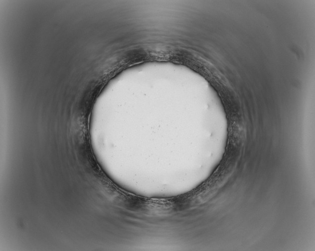 X0000111880707200908131634