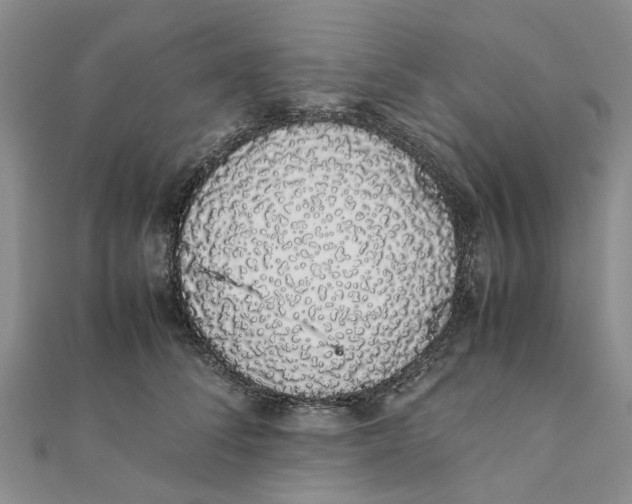 X0000111880708200908131634