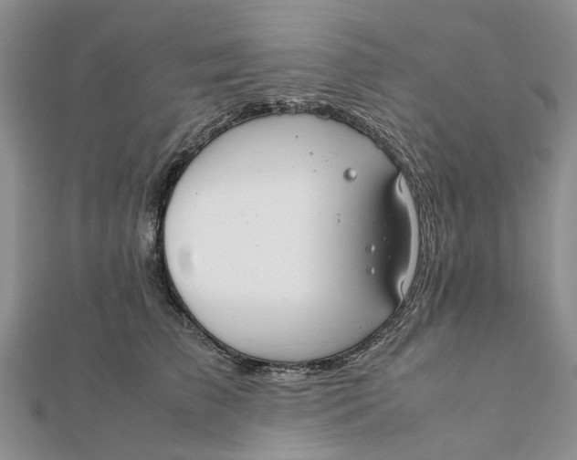 X0000111880709200908131634