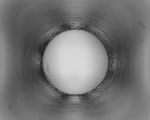 X0000111880710200908131634