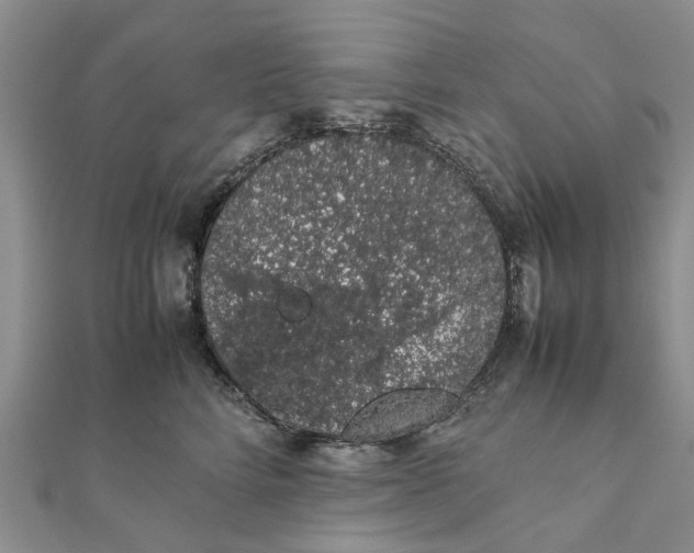 X0000111880712200908131634