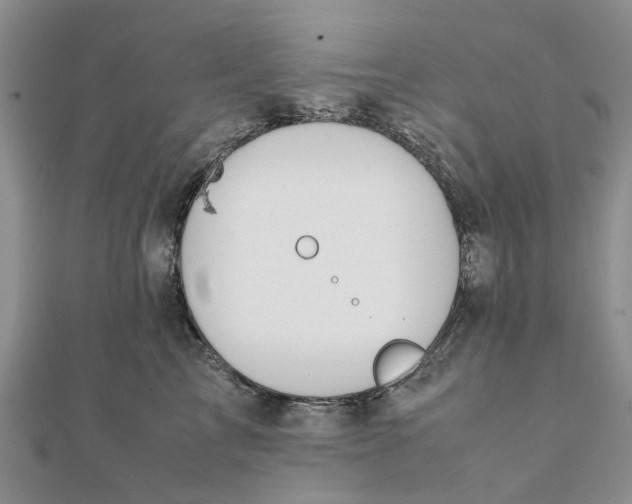 X0000111880713200908131634