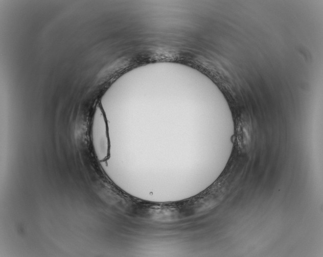 X0000111880714200908131633