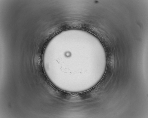 X0000111880715200908131633