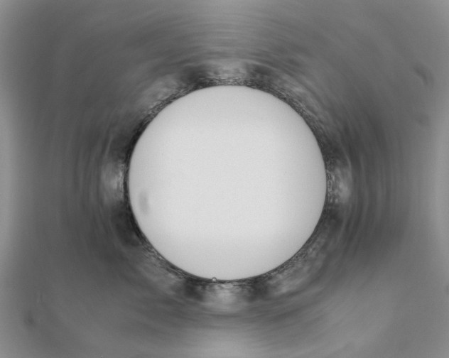 X0000111880717200908131633