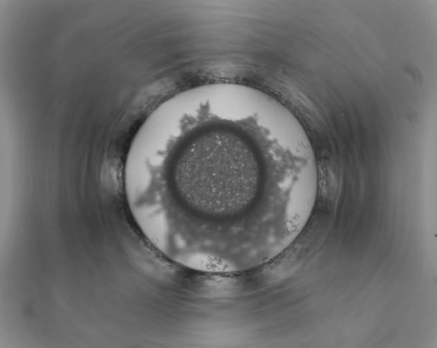 X0000111880718200908131633