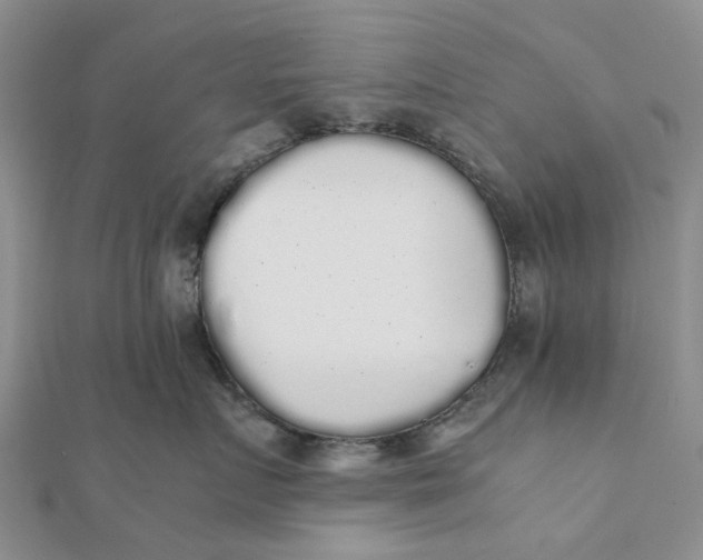 X0000111880719200908131633