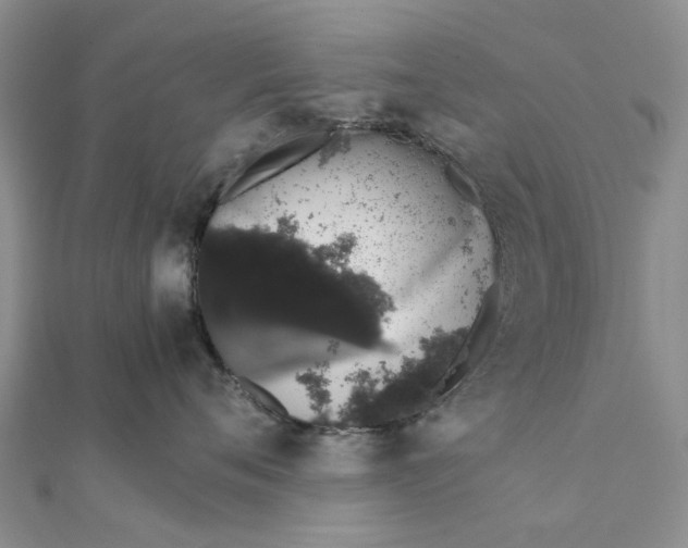 X0000111880720200908131633