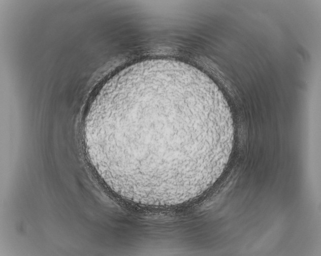 X0000111880721200908131633