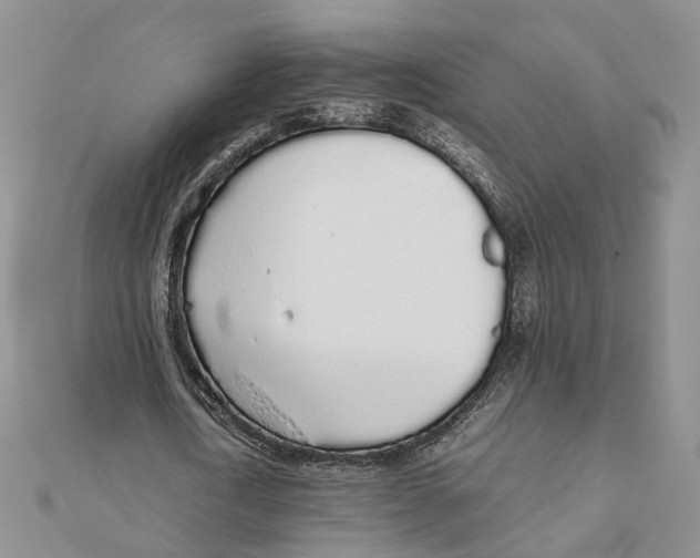 X0000111880722200908131633