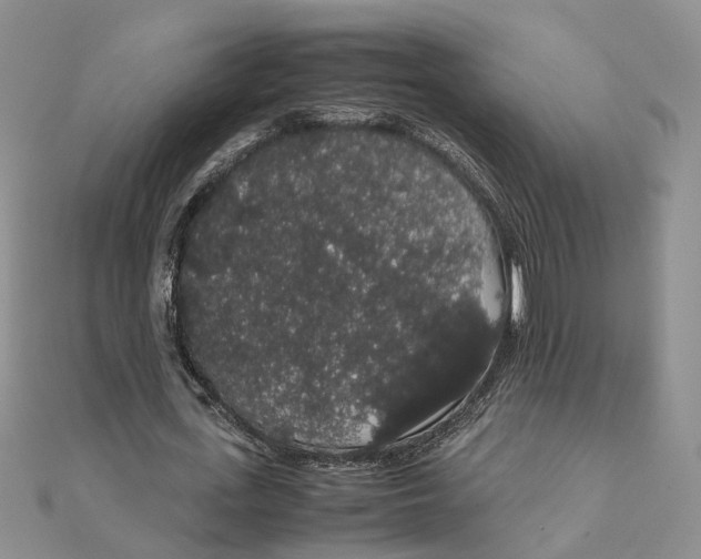 X0000111880723200908131633