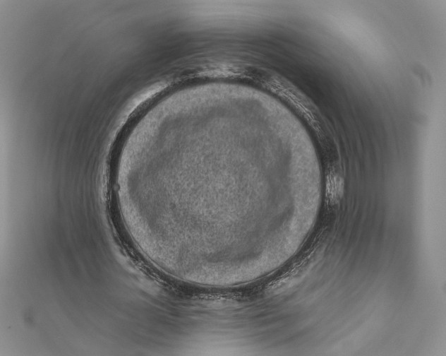 X0000111880724200908131633